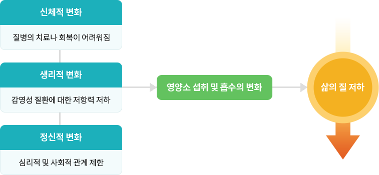 노인허약의 결과