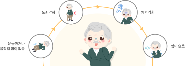 노화 영역별 성공적 노화
